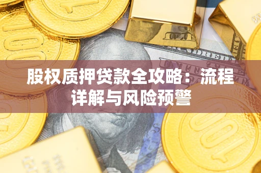 北京股权质押贷款全攻略：流程详解与风险预警