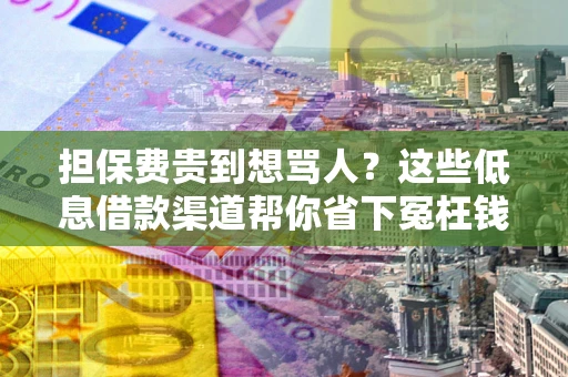 北京担保费贵到想骂人？这些低息借款渠道帮你省下冤枉钱